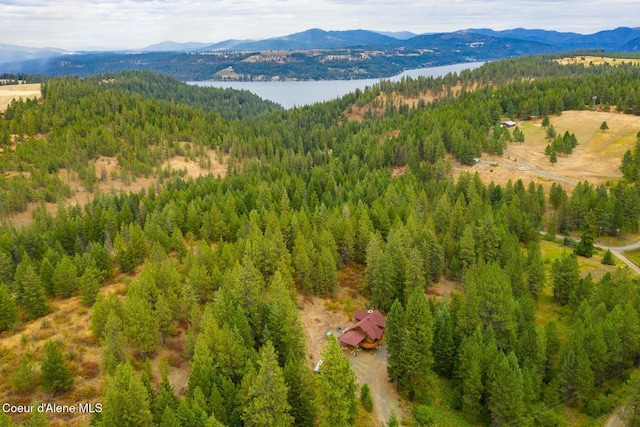 26443 S Farup Rd, Worley, ID 83876 - bird's eye view of a forest and a water and mountain view