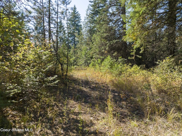 BLK1LOT3 W Grayeagle Rd, Rathdrum, ID 83858