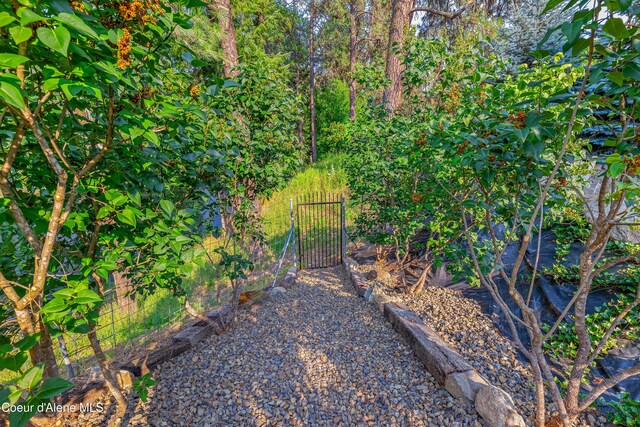 822 Ridgewood, Kamiah, ID 83536 - view of yard featuring a gate