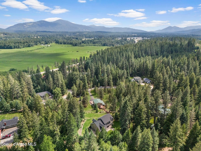 405 Brisboys Rd, Sagle, ID 83860 - photo 3