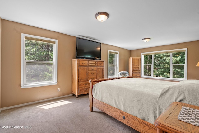 405 Brisboys Rd, Sagle, ID 83860 - photo 17