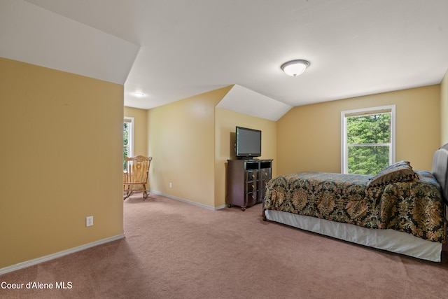405 Brisboys Rd, Sagle, ID 83860 - photo 19