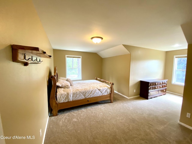 405 Brisboys Rd, Sagle, ID 83860 - photo 21