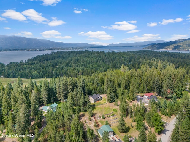 405 Brisboys Rd, Sagle, ID 83860 - photo 37