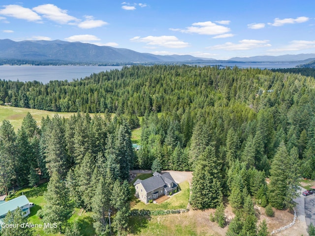 405 Brisboys Rd, Sagle, ID 83860 - photo 38
