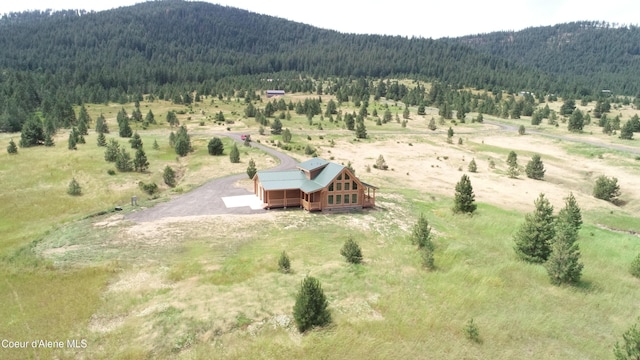 293 Vine Maple, Desmet, ID 83824 - photo 1