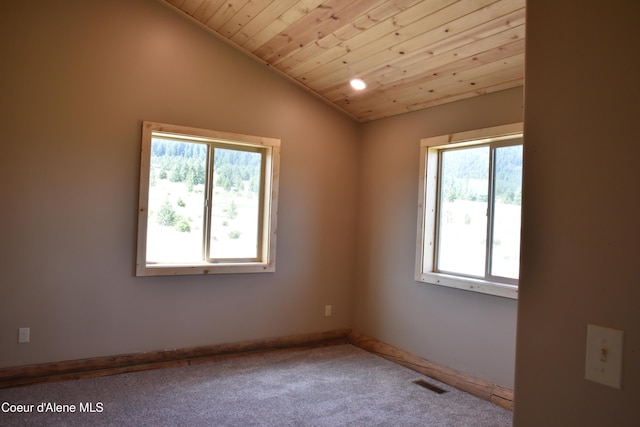293 Vine Maple, Desmet, ID 83824 - photo 13