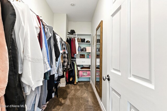 30 Beacon Hill Rd, Cocolalla, ID 83813 - spacious closet with dark carpet