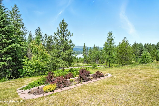30 Beacon Hill Rd, Cocolalla, ID 83813 - view of grassy yard with a view of trees and a water view