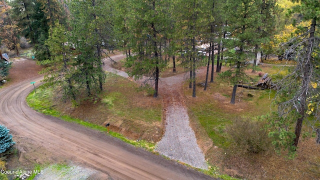 NNA Little Joe Rd, Coeur Dalene, ID 83814