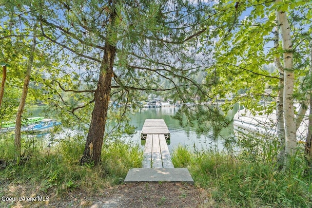 6101 Bottle Bay Rd, Sagle, ID 83860 - dock area featuring a water view
