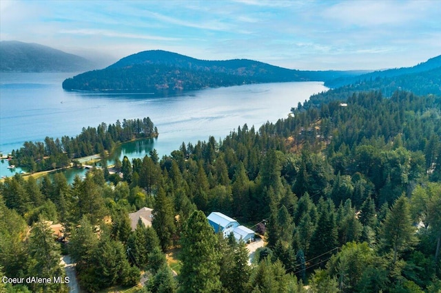 6101 Bottle Bay Rd, Sagle, ID 83860 - drone / aerial view of a water and mountain view