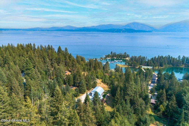 6101 Bottle Bay Rd, Sagle, ID 83860 - bird's eye view of a water and mountain view and a forest