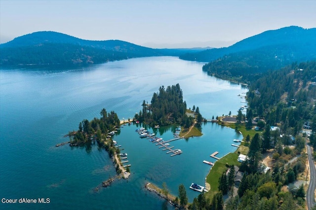 6101 Bottle Bay Rd, Sagle, ID 83860 - water view with a mountain backdrop