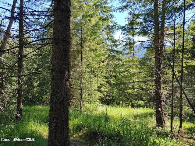NKA Railroad Grade Rd, Saint Maries, ID 83861 - photo 1