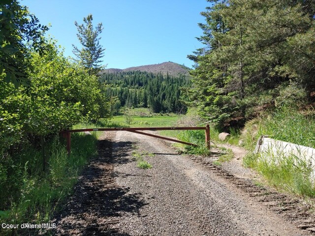 NKA Railroad Grade Rd, Saint Maries, ID 83861 - photo 9