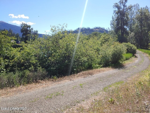 NKA Railroad Grade Rd, Saint Maries, ID 83861 - photo 10