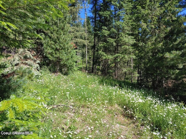 NKA Railroad Grade Rd, Saint Maries, ID 83861 - photo 2