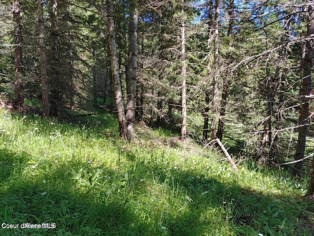 NKA Railroad Grade Rd, Saint Maries, ID 83861 - photo 3