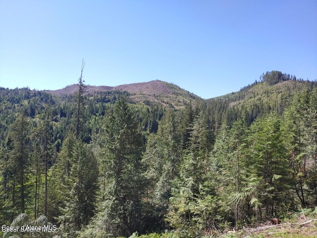 NKA Railroad Grade Rd, Saint Maries, ID 83861 - photo 12