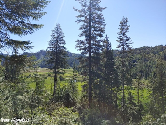 NKA Railroad Grade Rd, Saint Maries, ID 83861 - photo 13