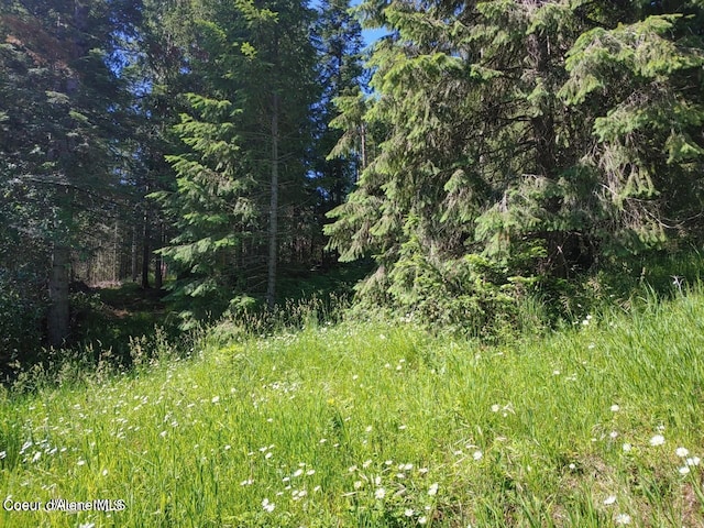 NKA Railroad Grade Rd, Saint Maries, ID 83861 - photo 4