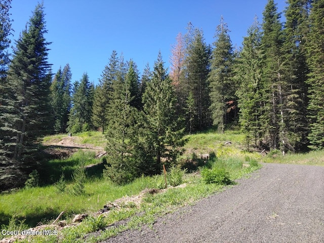 NKA Railroad Grade Rd, Saint Maries, ID 83861 - photo 5