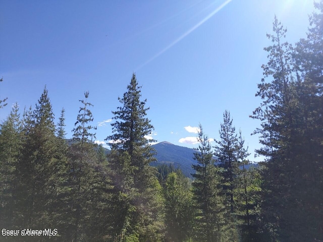 NKA Railroad Grade Rd, Saint Maries, ID 83861 - photo 14