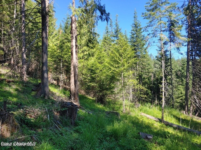 NKA Railroad Grade Rd, Saint Maries, ID 83861 - photo 6
