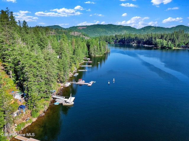 23157 W Lower Twin Lake Shr, Rathdrum, ID 83858