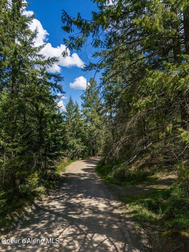 NNA N Corbin Hill Rd, Athol, ID 83801 - photo 4
