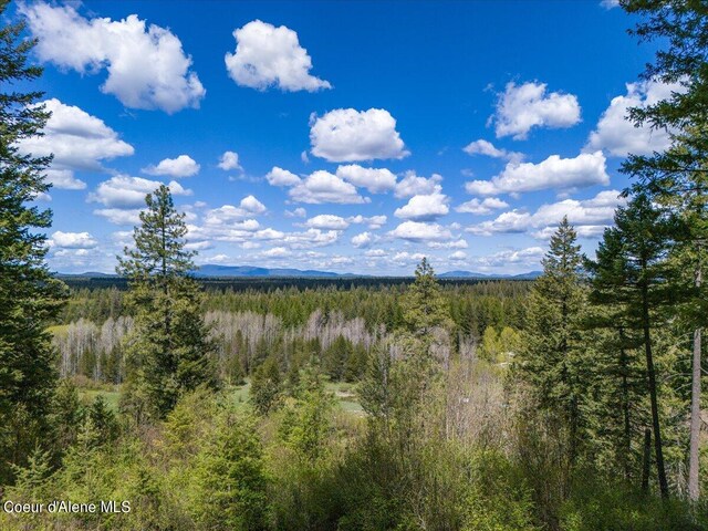 NNA N Corbin Hill Rd, Athol, ID 83801 - photo 10