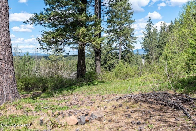 NNA N Corbin Hill Rd, Athol, ID 83801 - photo 15