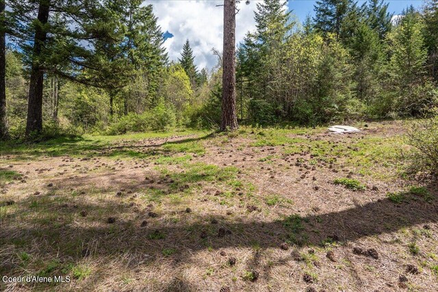 NNA N Corbin Hill Rd, Athol, ID 83801 - photo 16