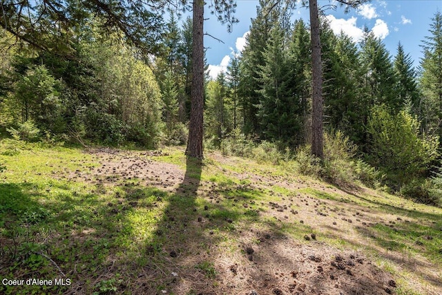 NNA N Corbin Hill Rd, Athol, ID 83801 - photo 17
