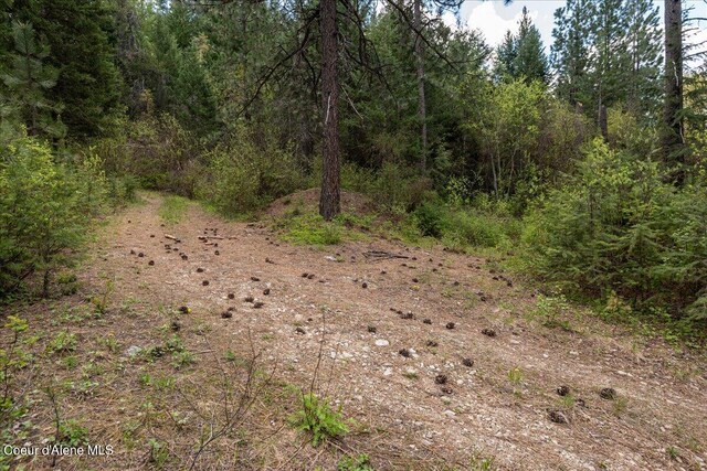 NNA N Corbin Hill Rd, Athol, ID 83801 - photo 19