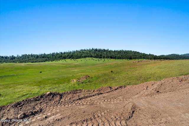 1047 Merideth Rd, Plummer, ID 83851 - view of tree filled area featuring a view of rural / pastoral area