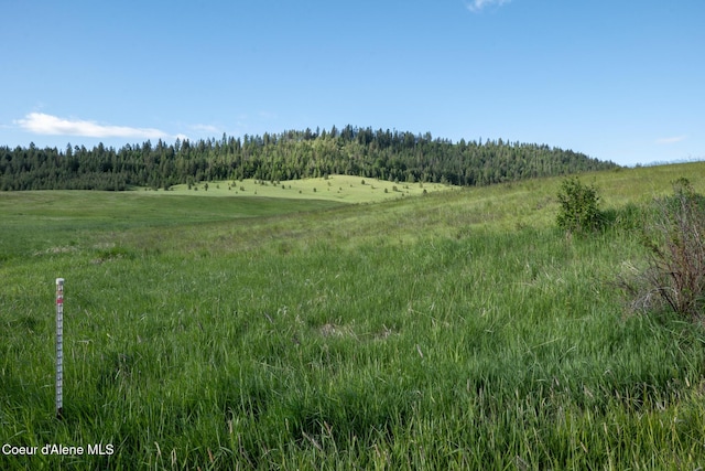 1047 Merideth Rd, Plummer, ID 83851 - view of woods with a rural view