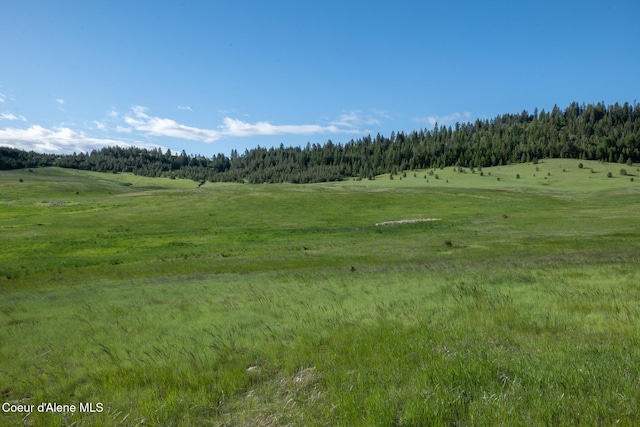1047 Merideth Rd, Plummer, ID 83851 - view of wooded area featuring a view of countryside