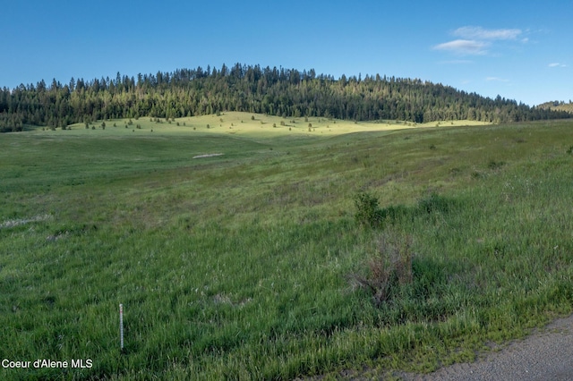 1047 Merideth Rd, Plummer, ID 83851 - view of woods