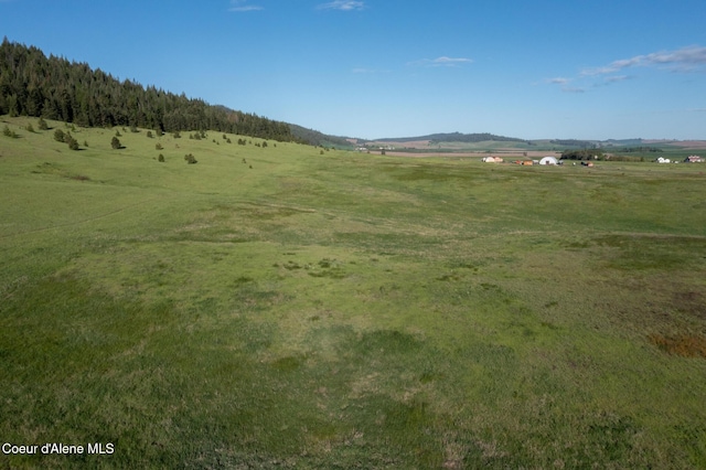 1047 Merideth Rd, Plummer, ID 83851 - view of local wilderness featuring rural landscape