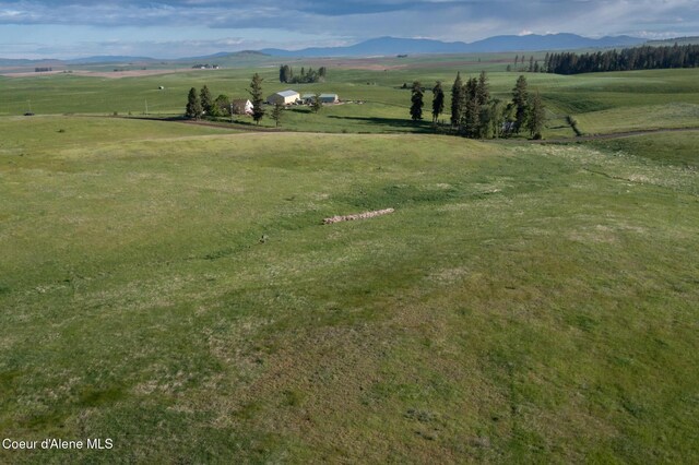 1047 Merideth Rd, Plummer, ID 83851 - view of mountain background with rural landscape and agricultural land