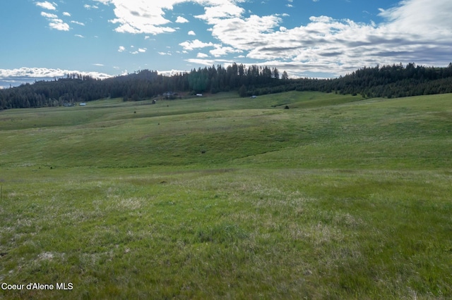 1047 Merideth Rd, Plummer, ID 83851 - view of mountain backdrop with rural landscape and a forest