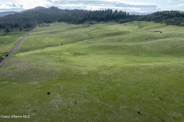 1047 Merideth Rd, Plummer, ID 83851 - view of community featuring a mountain view and a wooded view