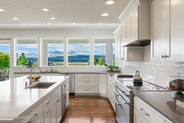 6744 E Greta Ave, Post Falls, ID 83854 - kitchen featuring appliances with stainless steel finishes, recessed lighting, white cabinetry, tasteful backsplash, and dark wood finished floors