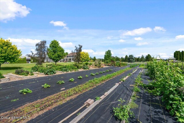 6744 E Greta Ave, Post Falls, ID 83854 - view of road