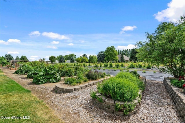 6744 E Greta Ave, Post Falls, ID 83854 - view of yard