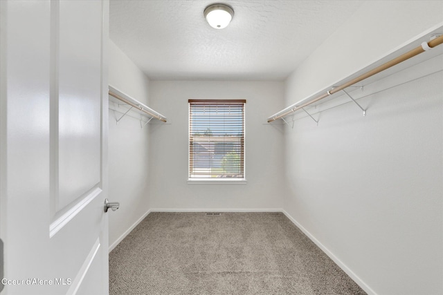 9333 N Prince William Loop, Hayden, ID 83835 - photo 19