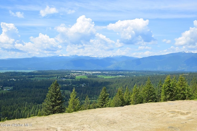 1247 Pintail Dr, Bonners Ferry, ID 83805 - photo 1