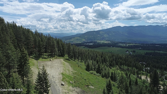 1247 Pintail Dr, Bonners Ferry, ID 83805 - photo 3